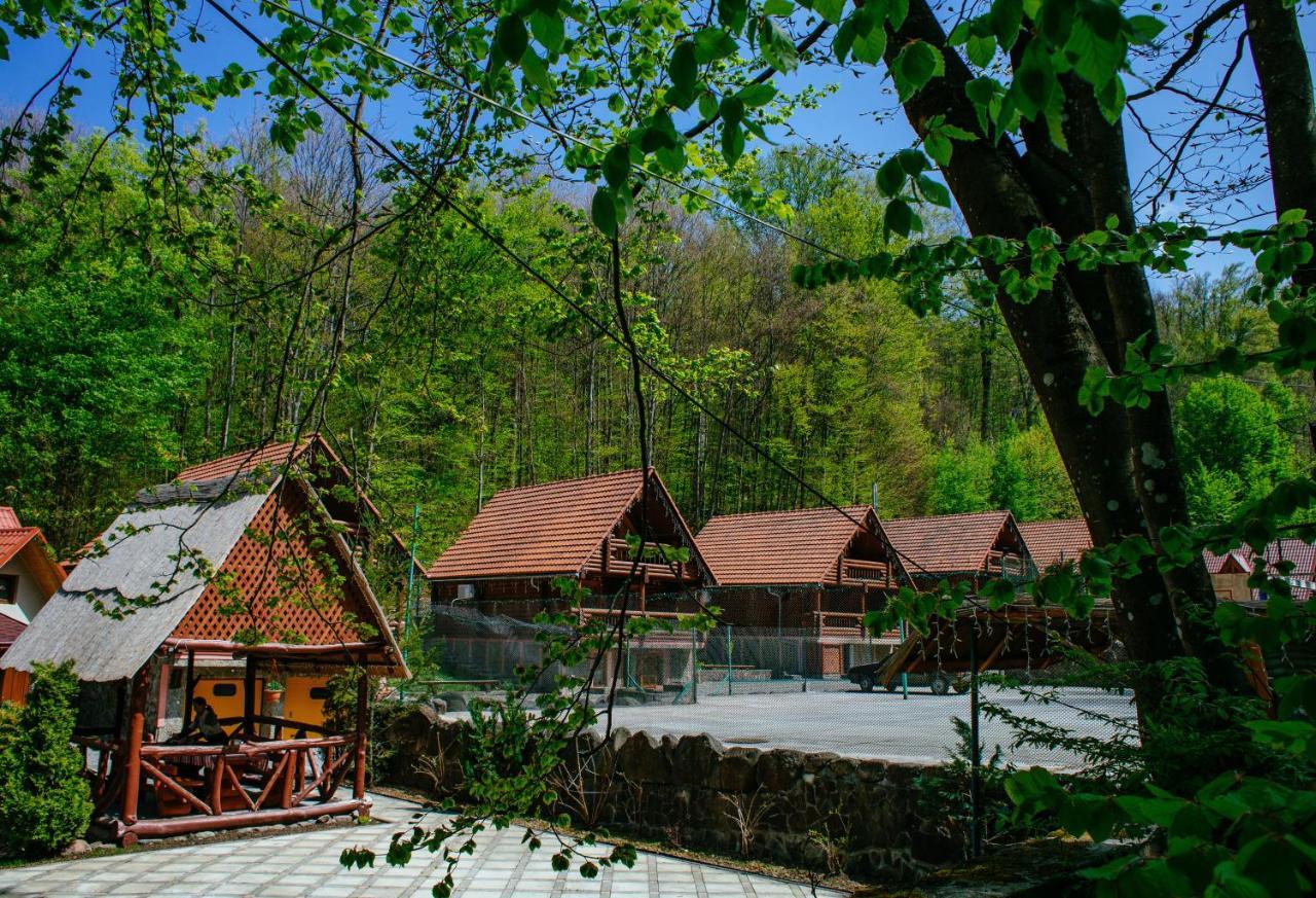 Toursit Complex Polyana Kvasova Hotel Bagian luar foto